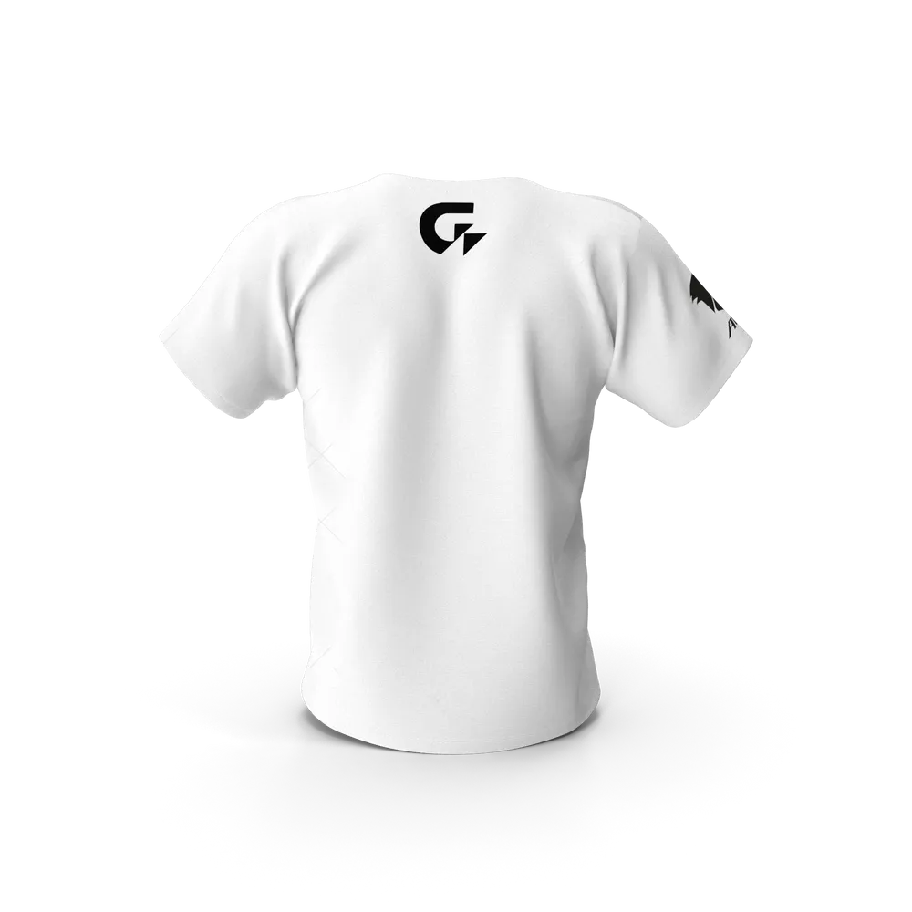Gigabyte Aorus Men Tshirt